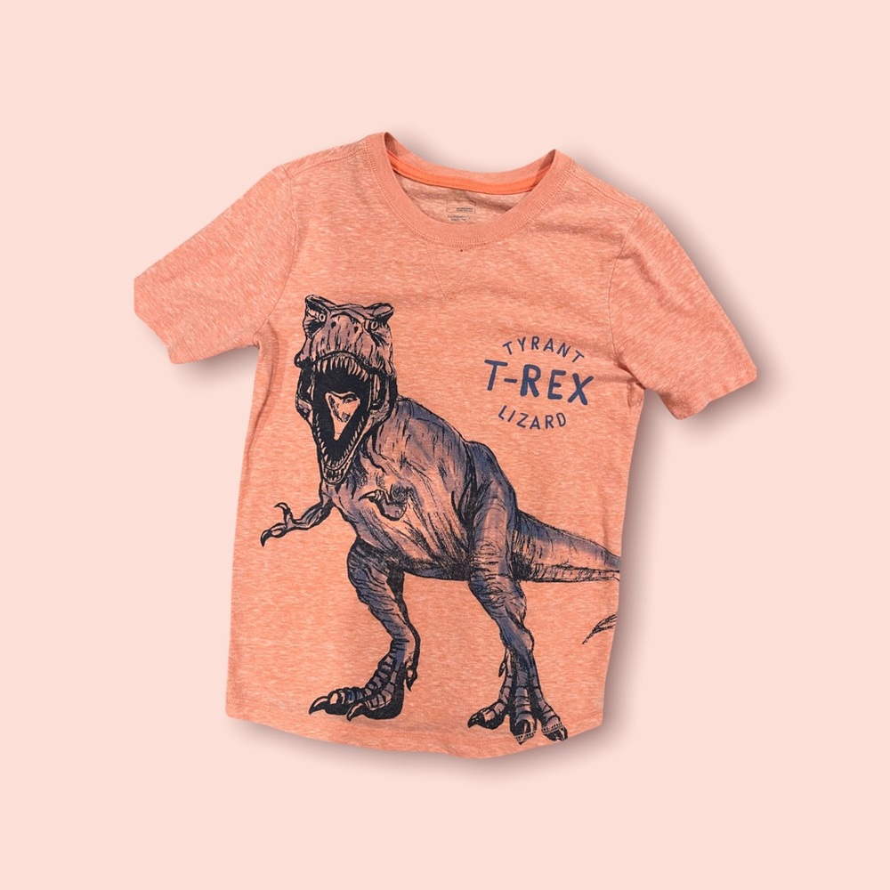 Boys T-Rex tshirt
